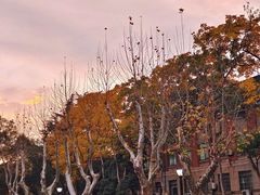 -浙江大学(玉泉校区)