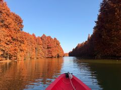 -上海海湾国家森林公园