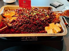 -小舅母子烤鱼(天生城店)
