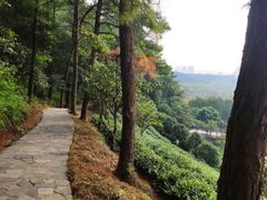 -九龙潭景区