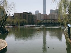 -团结湖公园