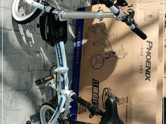 -道路口单车爱瓦士dahon大行