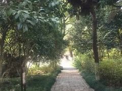 -瀛洲公园
