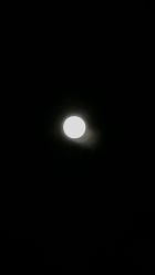 -1001普拉提运动