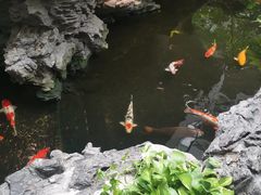 -广州白天鹅宾馆