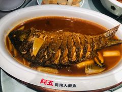 -阿五黄河大鲤鱼(纬三路店)