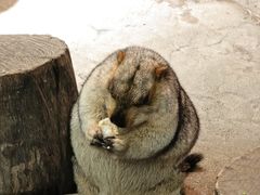 -正佳雨林生态植物园