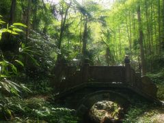 -凤栖山