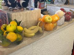 -国宝熊猫酒店(春熙路天府广场店)