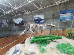 -中国第四纪冰川遗迹陈列馆