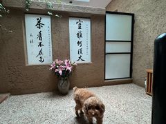 -寂照庵