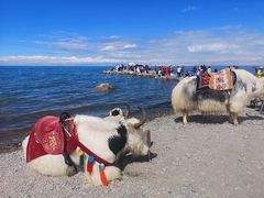 -青海湖国家重点风景名胜区