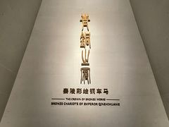 -秦始皇帝陵博物院-丽山园