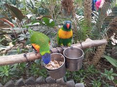 -南宫五洲植物乐园