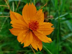 -贡湖湾湿地公园