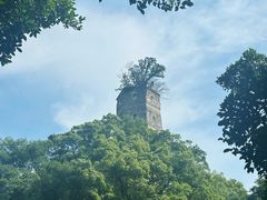 -江心屿景区