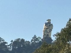 -南山植物园