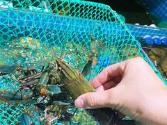 -三妹小龙虾·黄油蟹(华侨城总店)