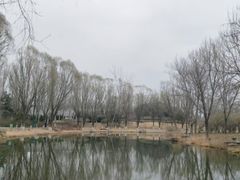 -河北省园博园