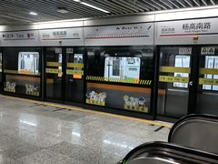 -杨高南路(地铁站)
