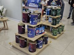 -立邦(益宝装饰城专卖店)