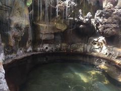 -仁爱团泊湖温泉中心