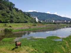 -新安江山水画廊风景区