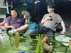 -中环花鸟鱼虫市场