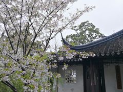 -拙政园