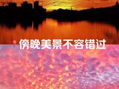 -上坐过桥米线(顺城店)
