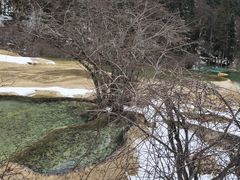 -黄龙山原始森林景区