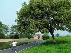 -良渚古城遗址公园