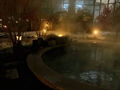 -中家鑫园温泉酒店鑫悦汤泉