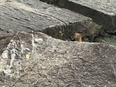 -广州白江湖森林公园