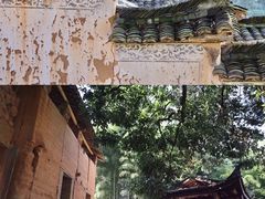 -杨家堂村