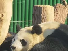 -沈阳森林动物园