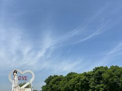 -滕州微山湖红荷湿地景区
