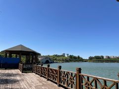 -塘沽森林公园