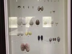 -青岛贝壳博物馆