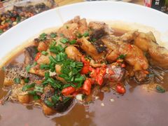 -全乐鱼馆·淳牌有机鱼直营店