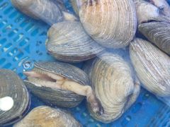 -震海贝烤贝·民俗特色店(延吉总店)