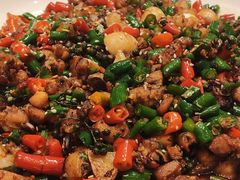 老成都辣子鸡-将军府·鸡毛店(武侯祠店)