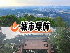 -水濂山森林公园
