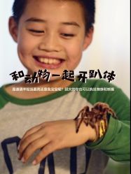 -头号顽家·萌宠生日派对·轻奢策划(前滩店)