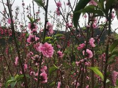 -水濂山森林公园