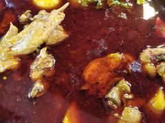 -佘记全家福芋儿鸡(向阳街总店)