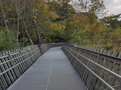 -福道