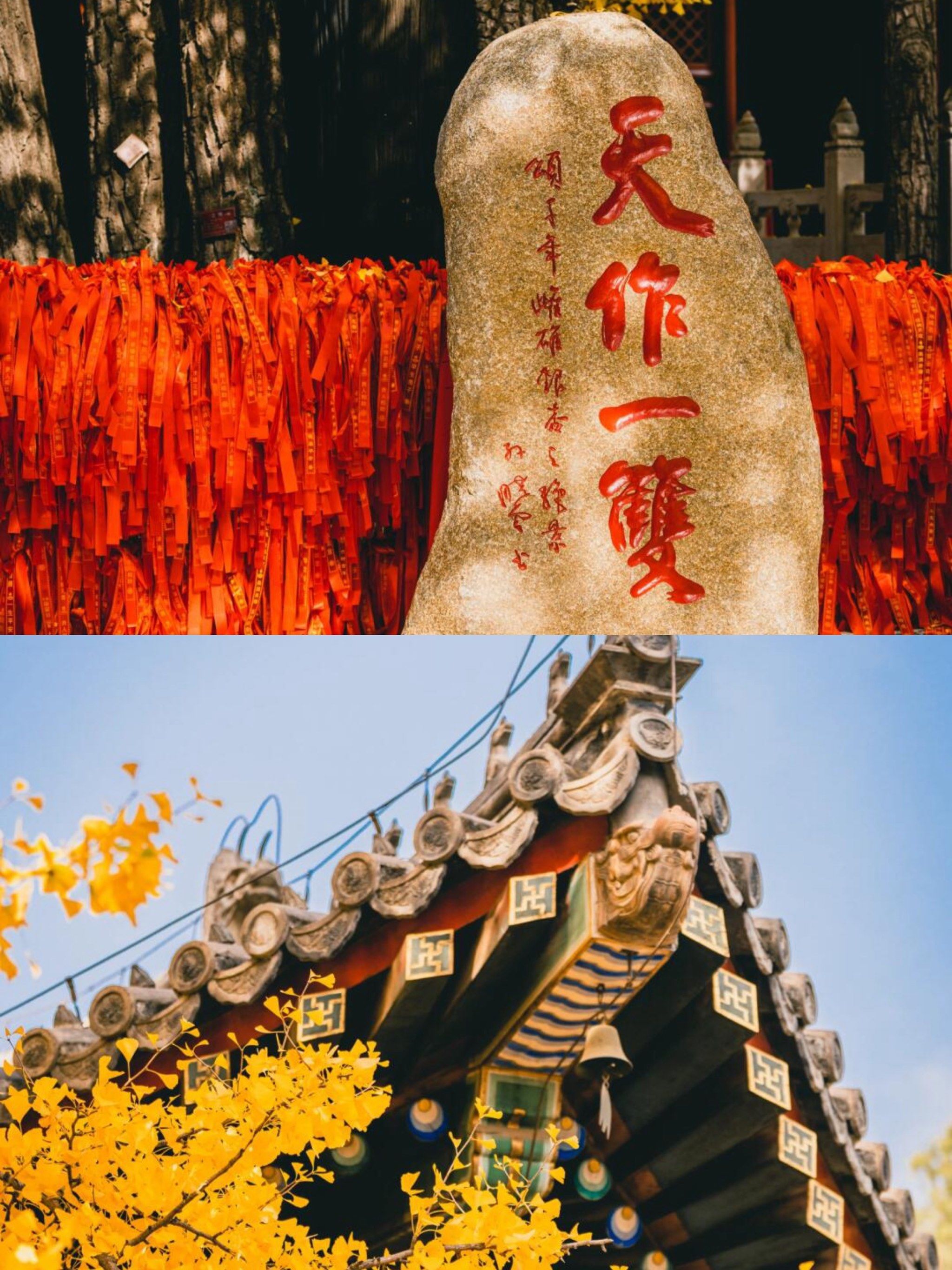 千年古刹与秋日银杏的梦幻邂逅💖