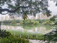 -南宁南湖公园