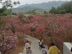 -开元溶洞